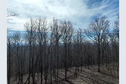 256 Blood Root Trail, Ellijay, GA 30536 - Photo 27