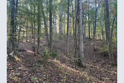 0 Old Columbus Road, Bowdon, GA 30108 - Photo 21