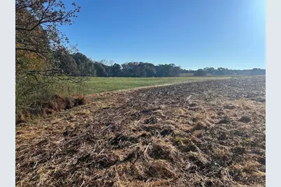 0 Old Columbus Road, Bowdon, GA 30108 - Photo 25