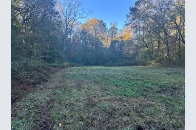 0 Old Columbus Road, Bowdon, GA 30108 - Photo 11