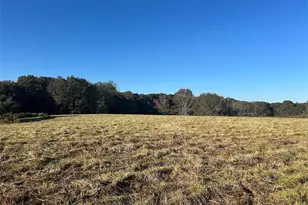 0 Old Columbus Rd, Bowdon, GA 30108 - Photo 1
