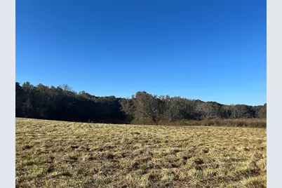 0 Old Columbus Road, Bowdon, GA 30108 - Photo 3