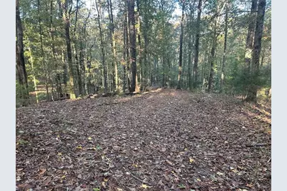 0 Old Columbus Road, Bowdon, GA 30108 - Photo 23
