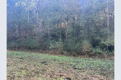 0 Old Columbus Road, Bowdon, GA 30108 - Photo 15