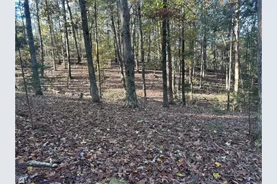 0 Old Columbus Road, Bowdon, GA 30108 - Photo 9