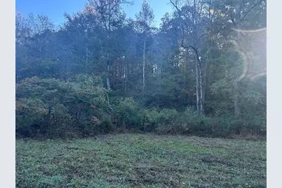 0 Old Columbus Road, Bowdon, GA 30108 - Photo 13