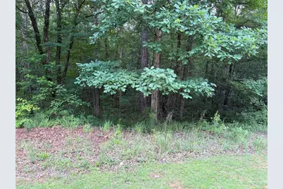 000 Serenity, Cataula, GA 31808 - Photo 23