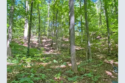 2.4Ac Old River Road, Dahlonega, GA 30533 - Photo 5