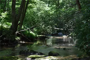 2632 Big Creek Rd, Cherry Log, GA 30522 - Photo 5