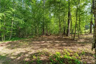 60 Sunflower Dr, Newnan, GA 30263 - Photo 55