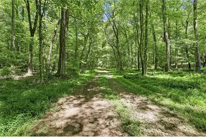 125 King Bird Drive, Cleveland, GA 30528 - Photo 45