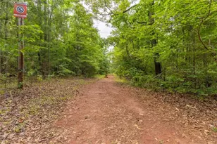 54 Davis Carter Rd, Monticello, GA 31064 - Photo 57