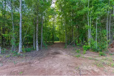 54 Davis Carter Road, Monticello, GA 31064 - Photo 41