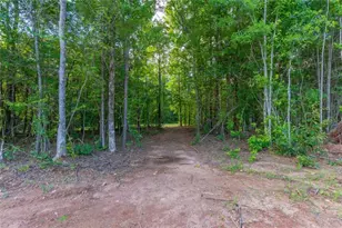54 Davis Carter Rd, Monticello, GA 31064 - Photo 41