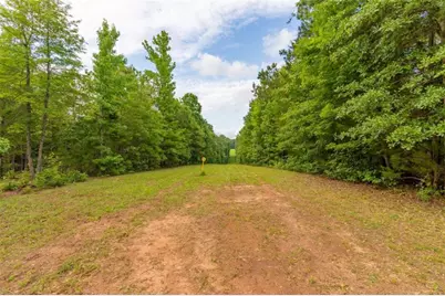 54 Davis Carter Road, Monticello, GA 31064 - Photo 49