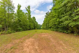 54 Davis Carter Rd, Monticello, GA 31064 - Photo 49