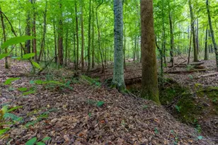 54 Davis Carter Rd, Monticello, GA 31064 - Photo 55