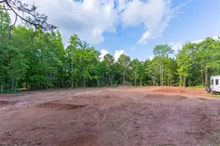 54 Davis Carter Rd, Monticello, GA 31064 - Photo 35