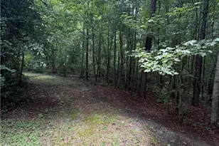 8915 Cedar Grove Rd, Fairburn, GA 30213 - Photo 5