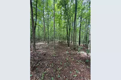 8915 Cedar Grove Road, Fairburn, GA 30213 - Photo 3
