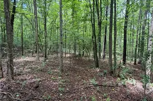 8915 Cedar Grove Rd, Fairburn, GA 30213 - Photo 3