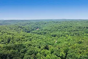 617 Zenith Trail, Ellijay, GA 30540 - Photo 59
