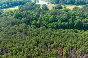 Lot 4 136 Hwy 136 Connector, Talking Rock, GA 30175 - Photo 13