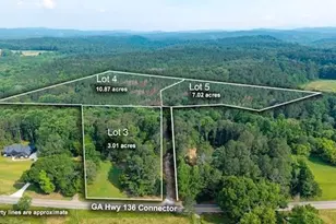 Lot 4 136 Hwy 136 Connector, Talking Rock, GA 30175 - Photo 7