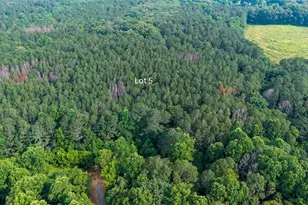 Lot 5 Hwy 136 Connector, Talking Rock, GA 30175 - Photo 5