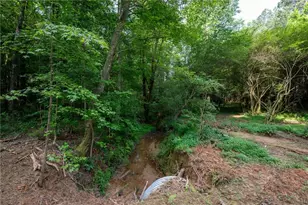 Lot 5 Hwy 136 Connector, Talking Rock, GA 30175 - Photo 11