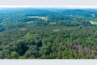 Lot 5 Highway 136 Connector, Talking Rock, GA 30175 - Photo 13