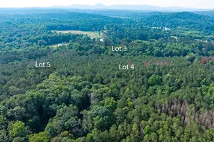 Lot 5 Hwy 136 Connector, Talking Rock, GA 30175 - Photo 13