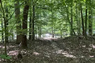 5585 Browns Bridge Rd, Cumming, GA 30041 - Photo 31