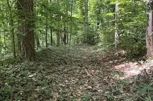 5585 Browns Bridge Rd, Cumming, GA 30041 - Photo 33