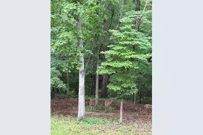 312 Aurum Hill Drive, Cleveland, GA 30528 - Photo 39