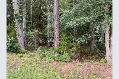 0 Maddox, Jefferson, GA 30549 - Photo 9
