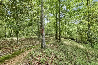 [Address not provided], Lula, GA 30554 - Photo 57