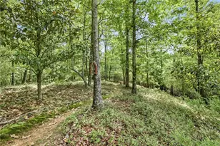 [Address not provided], Lula, GA 30554 - Photo 57