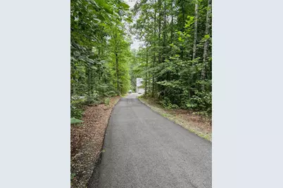 1250 Blue Ridge Overlook, Dawsonville, GA 30534 - Photo 27