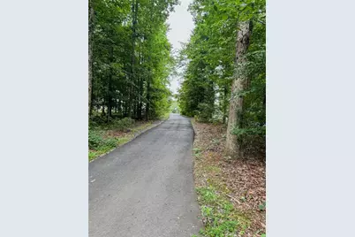 1250 Blue Ridge Overlook, Dawsonville, GA 30534 - Photo 31