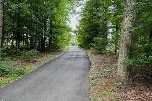 1250 Blue Ridge Overlook, Dawsonville, GA 30534 - Photo 31