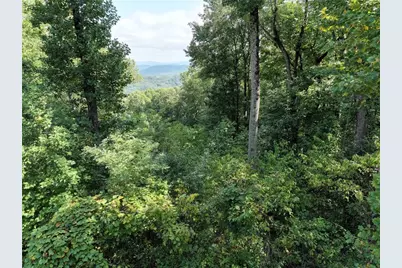 280 Andes Ridge, Ellijay, GA 30536 - Photo 9