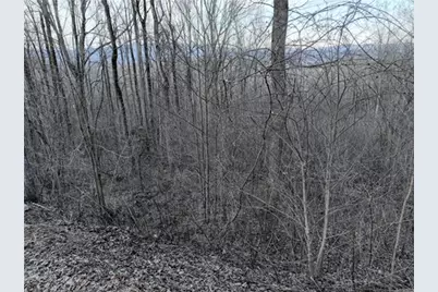 280 Andes Ridge, Ellijay, GA 30536 - Photo 43