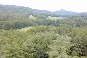 158 Earney Rd, Blairsville, GA 30512 - Photo 5