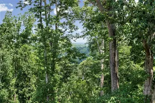 7405 Crestline Dr, Dawsonville, GA 30534 - Photo 39