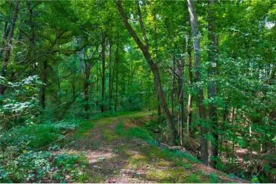 203 N Ridge View Court, Canton, GA 30115 - Photo 69