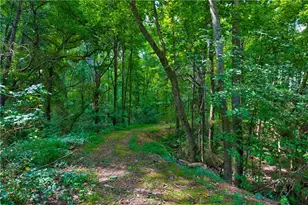 203 N Ridgeview Ct, Canton, GA 30115 - Photo 69