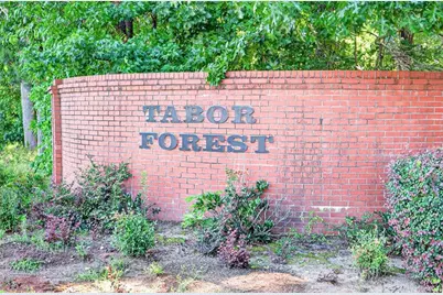 20 Tabor Forest Drive, Oxford, GA 30054 - Photo 55
