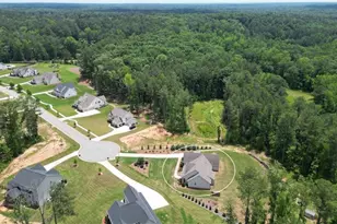 164 Brinley Dr, Sharpsburg, GA 30277 - Photo 65