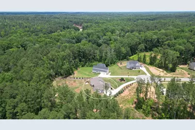 164 Brinley Drive, Sharpsburg, GA 30277 - Photo 61